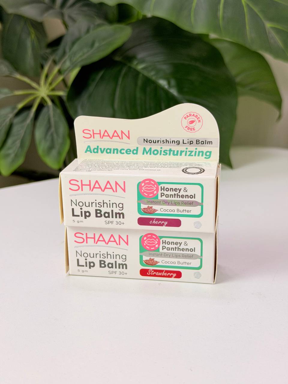 Shaan Lip Balm (5 gm)